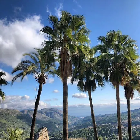 Squirrel * La Nucía